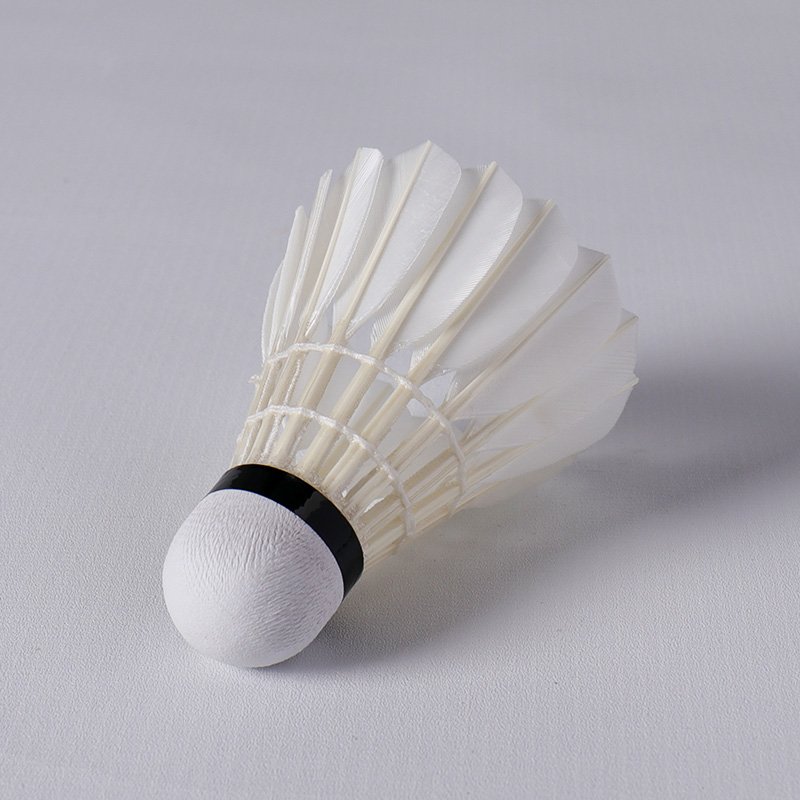 Honkoo Durable White Goose Feather Aeroplane Tournament Wholesale Badminton Tube Shuttlecock For Training