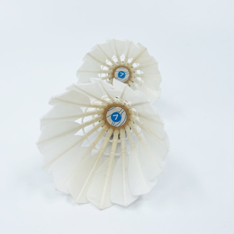 High quality and factory directly sell price 12Pcs Sports Shuttlecocks Duck Feather Durable and Stable Duck Feather Ball