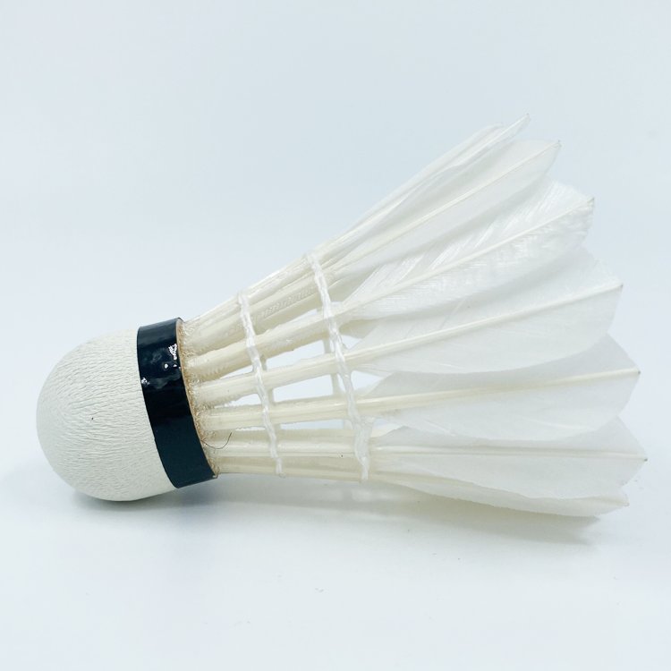 High quality and factory directly sell price 12Pcs Sports Shuttlecocks Duck Feather Durable and Stable Duck Feather Ball