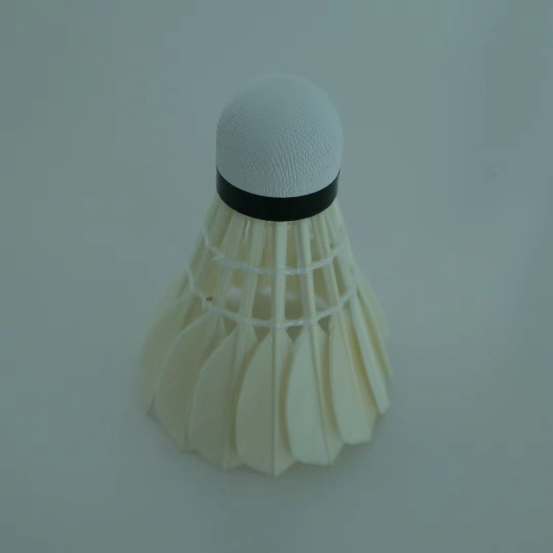 Blackwashing Class C all round Goose badminton feathers shuttlecock