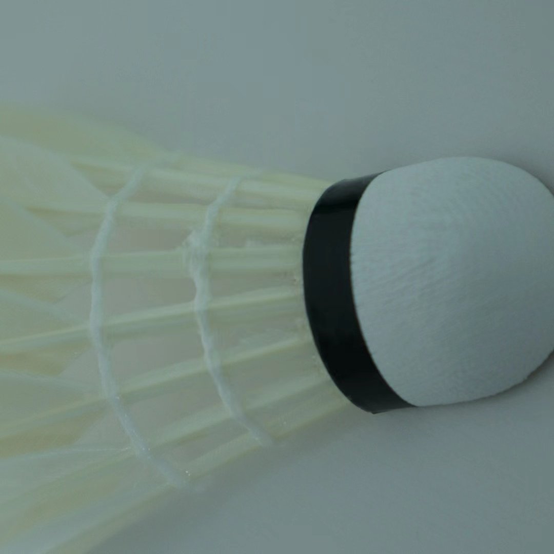Blackwashing Class C all round Goose badminton feathers shuttlecock