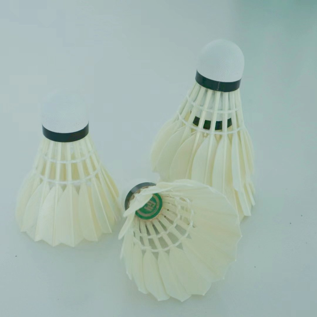 Class 5 all round Goose feathers badminton shuttlecock