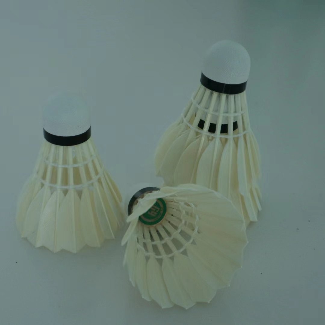 Professional training shuttlecock Class B badminton shuttlecock indoor