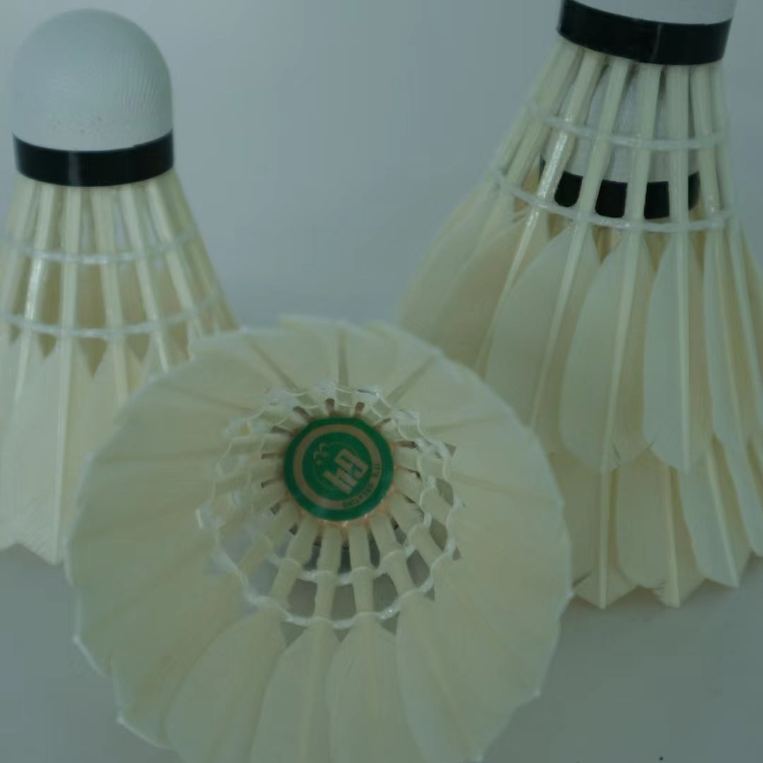 Professional training shuttlecock Class B badminton shuttlecock indoor