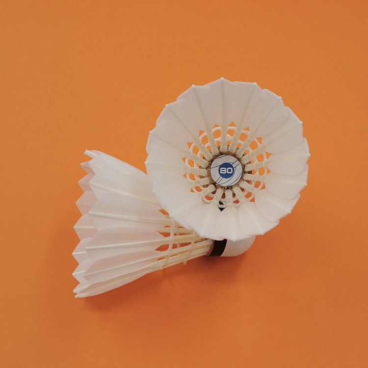 Dmantis D80 Best Quality Super Class Goose Feather Indoor Senior Regular Badminton Shuttlecock International Competition Level