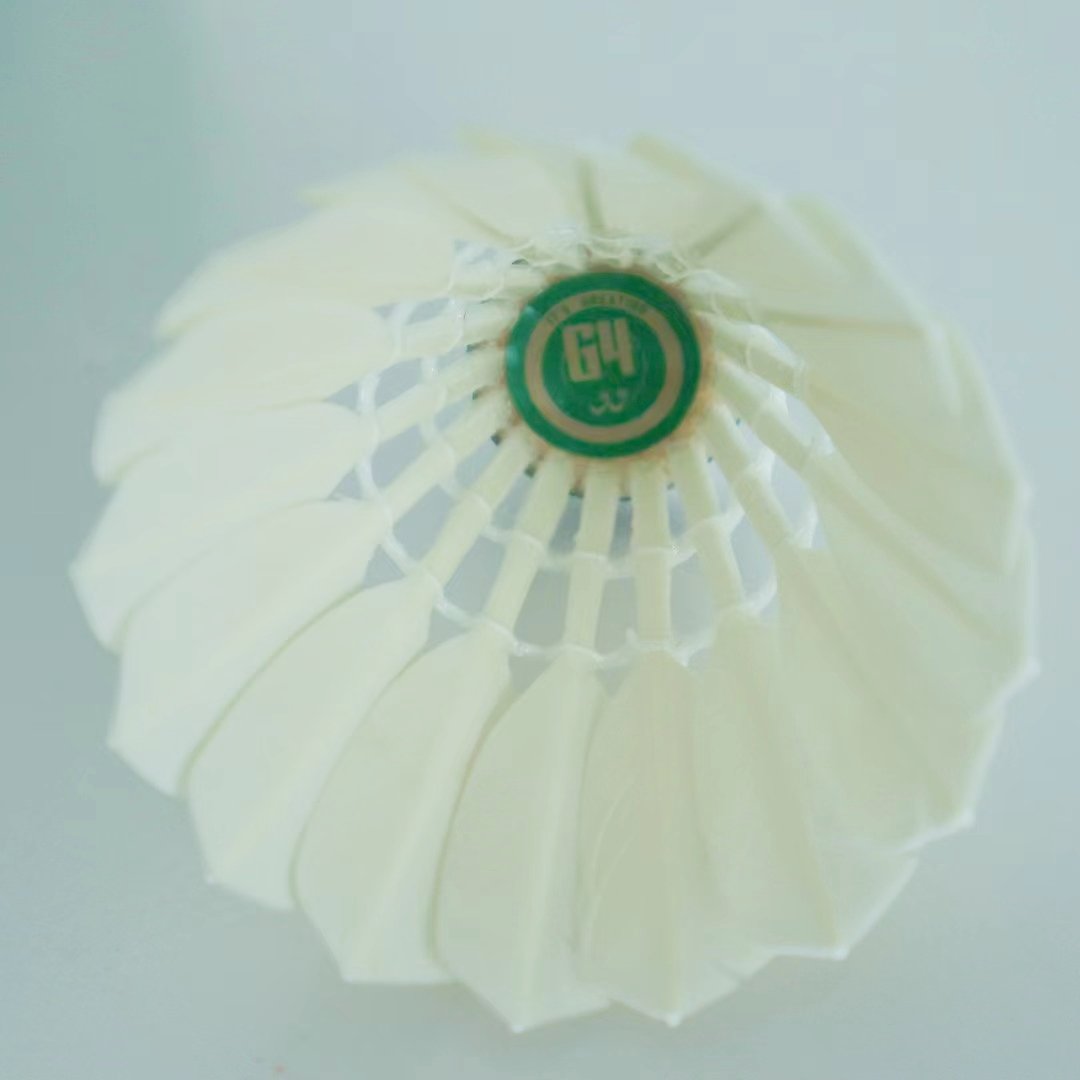 Super Durable Professional Level Class C Badminton Goose Feather Shuttlecocks Top Performance for Top Players