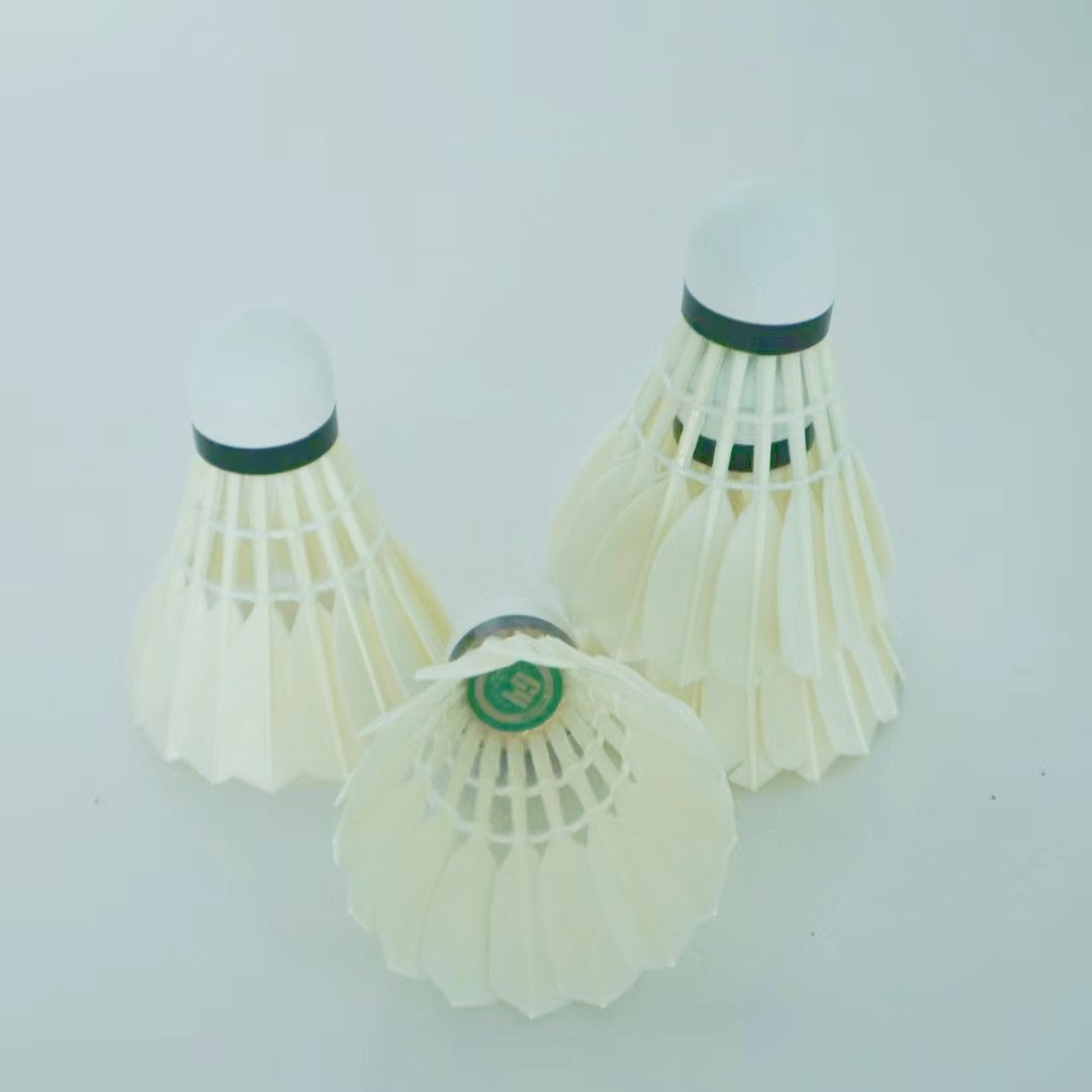 Professional training shuttlecock all round Goose feather badminton shuttles