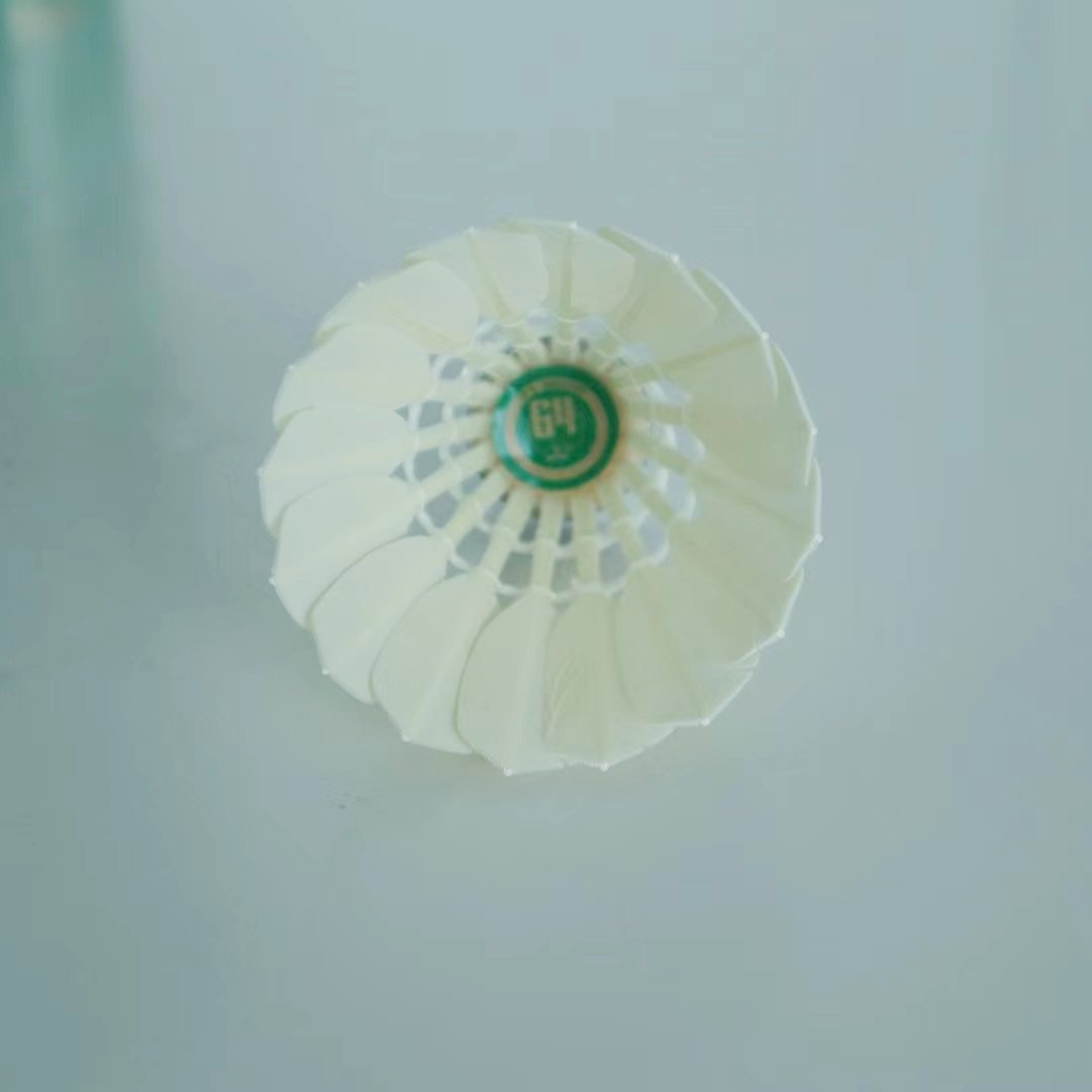Professional training shuttlecock all round Goose feather badminton shuttles