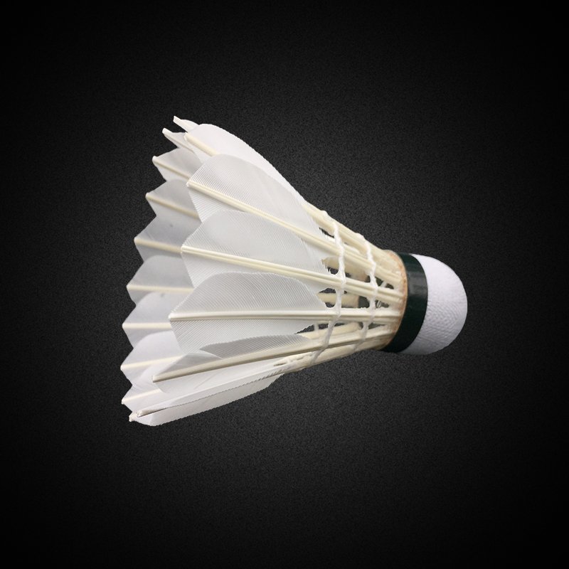Durable Popular in Singapore Malaysia as Fleet shuttlecock badminton