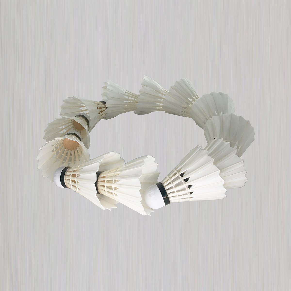 Durable Popular in Singapore Malaysia as Fleet shuttlecock badminton