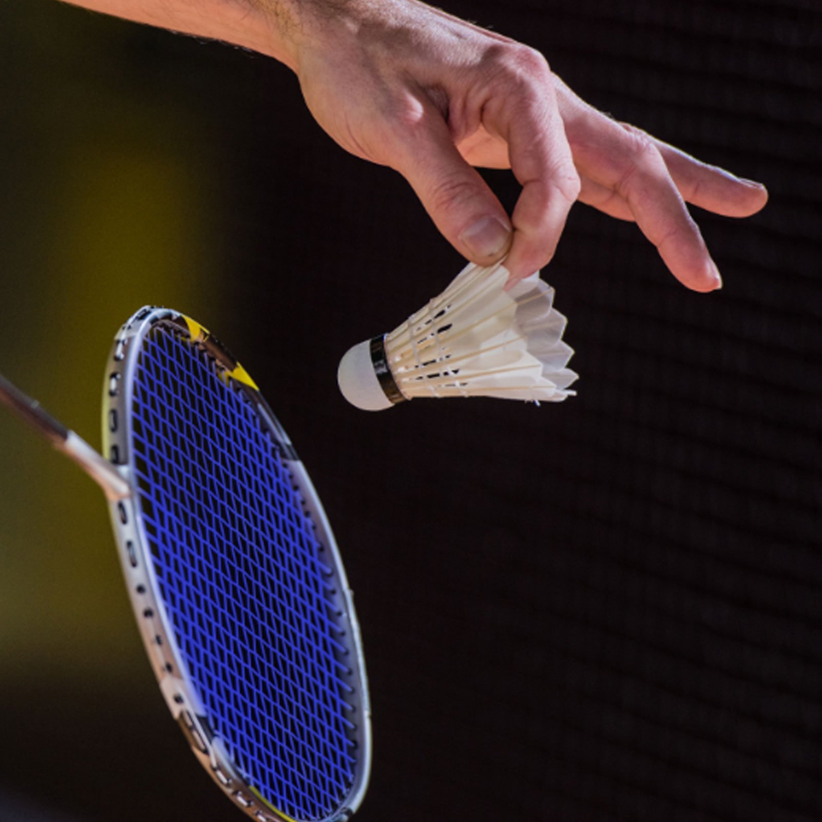 High Quality Badminton Racket String Badminton Racquet String