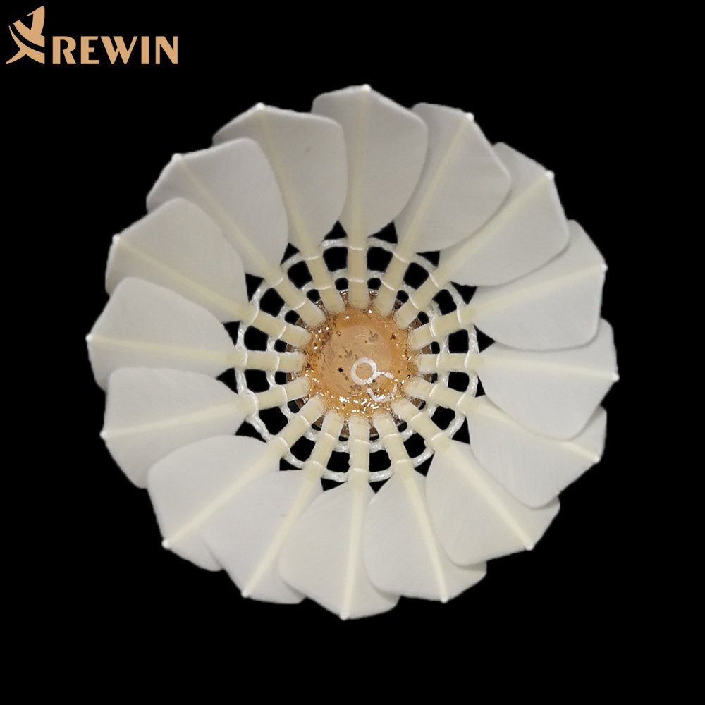 Master no.5 Eco-friendly high quality Goose Feather similar as AS10 Badminton Shuttlecock for tournament