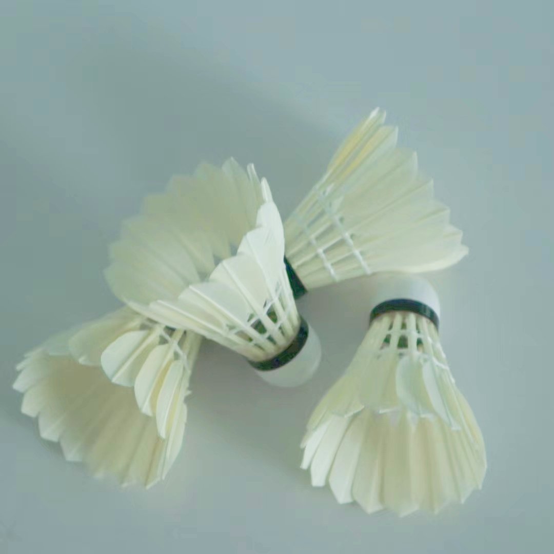 good durability and flight all round class C goose feathers badminton shuttlecock