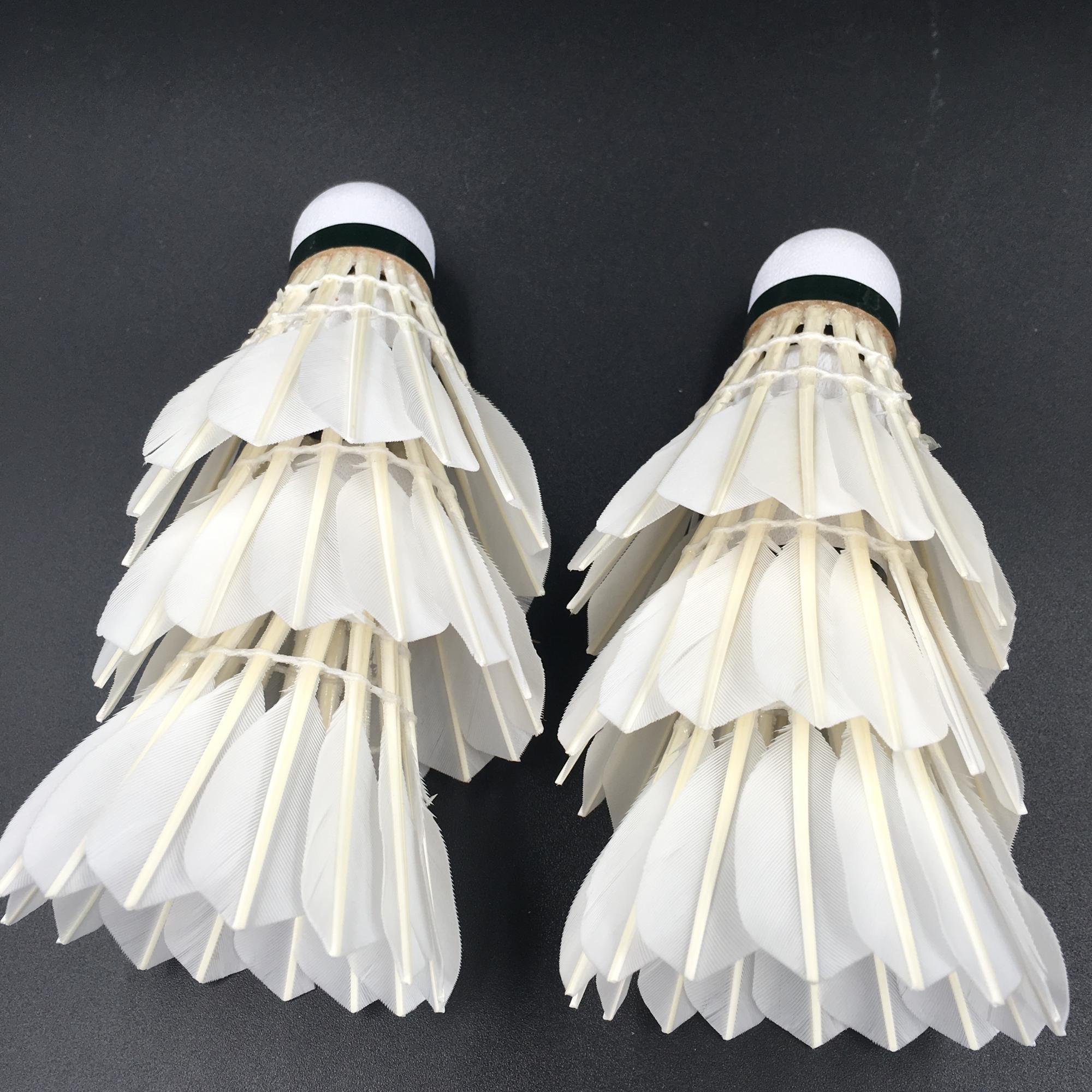 Sale Shuttlecock Badminton Birdie with D Class Goose Feather Badminton Ball