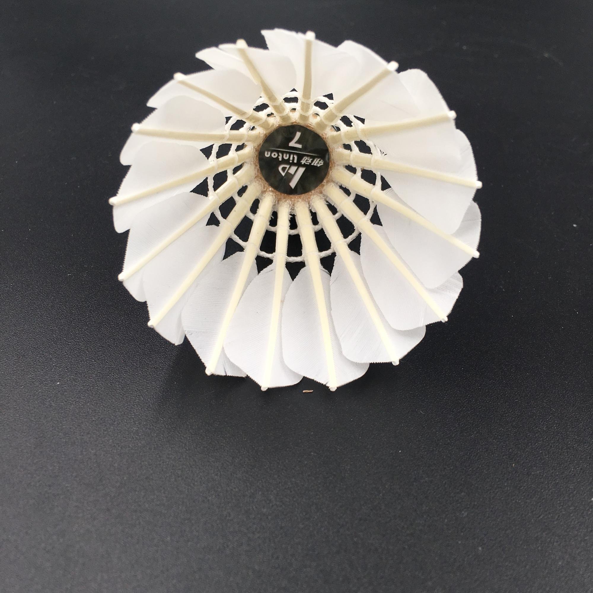 Sale Shuttlecock Badminton Birdie with D Class Goose Feather Badminton Ball