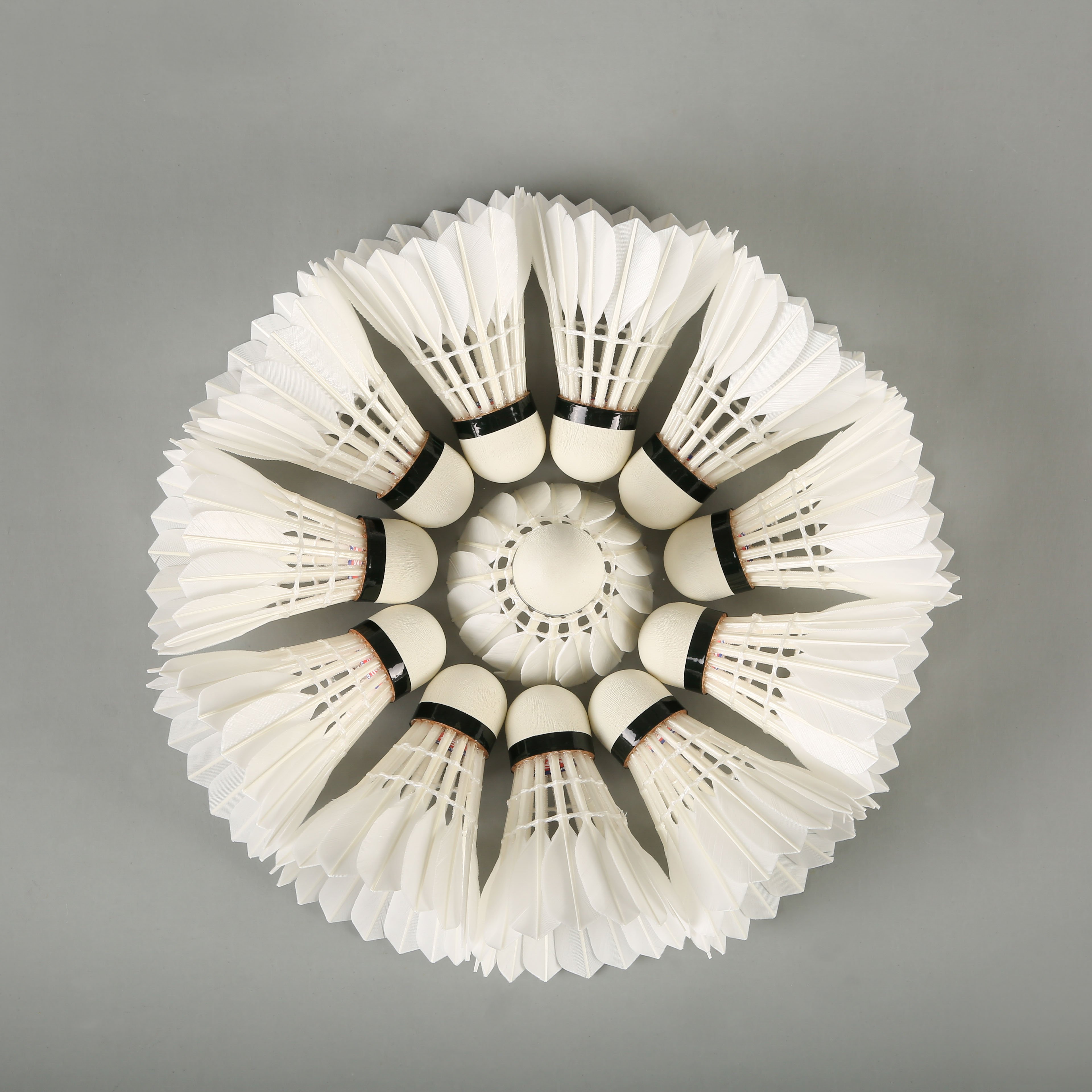 Lingmei 80 Goose Feather AS40 Quality Shuttlecock For Tournment