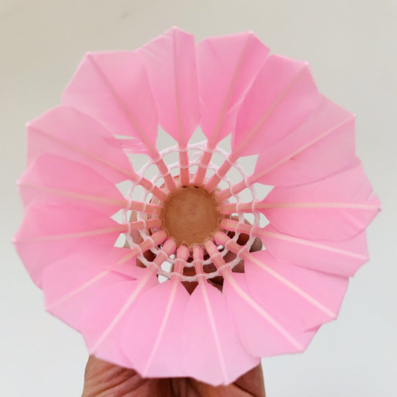 Wholesale Trend Pink Badminton Shuttlecocks Goose Feather Natural Cork Shuttlecock Cheap Practice Shuttlecock 12Pcs Pack