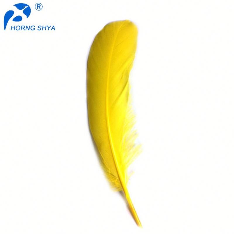White Washed Natural Raw Duck Feather For Arts Crafts DIY Headdress Hat Hair Costume Accessory Carnival Party Wedding Home Decor