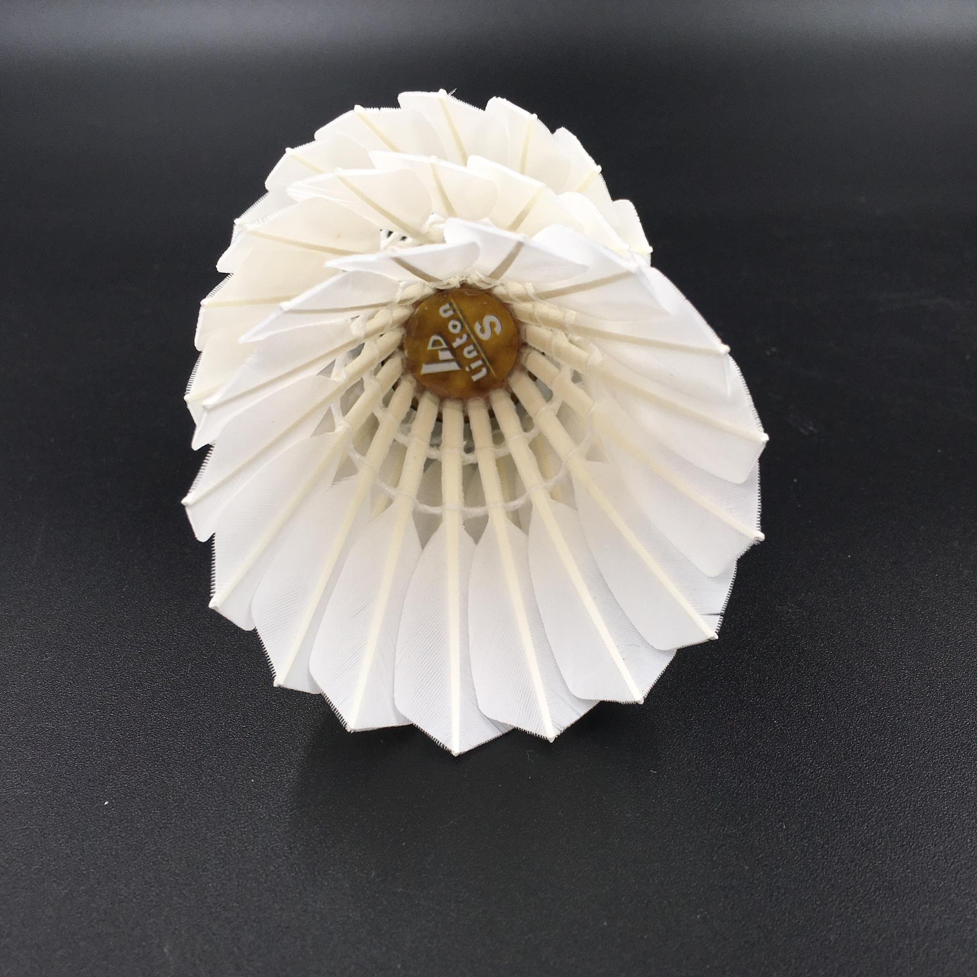 Fast shipping oem class a goose feather straighten curving shuttlecock badminton