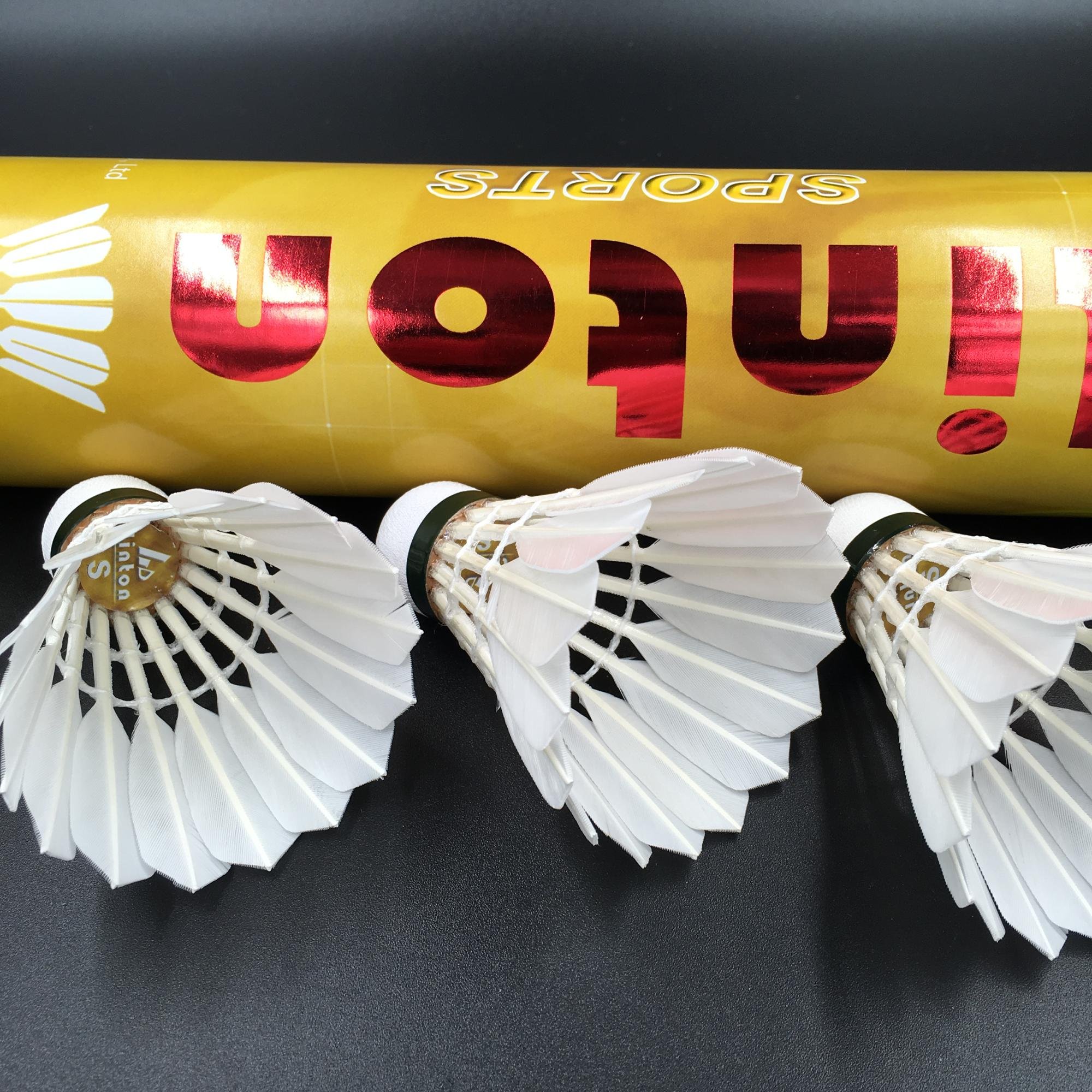 Fast shipping oem class a goose feather straighten curving shuttlecock badminton