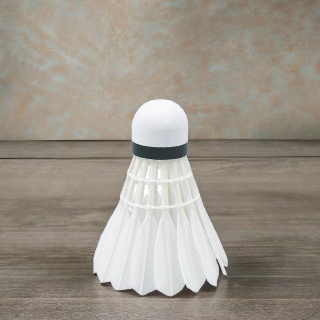 Class a Antarctic Wind Race #5DuckPlume Feather Badminton Shuttlecock Durable Cork Head Material for International Tournaments