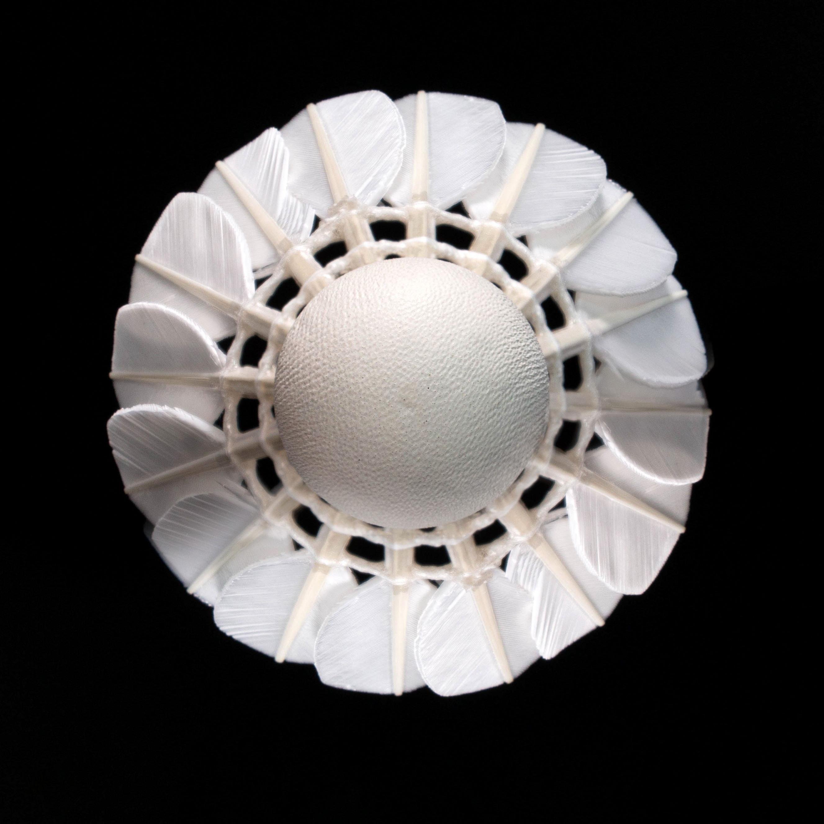 Lingmei 80 Goose Feather Badminton Shuttlecock