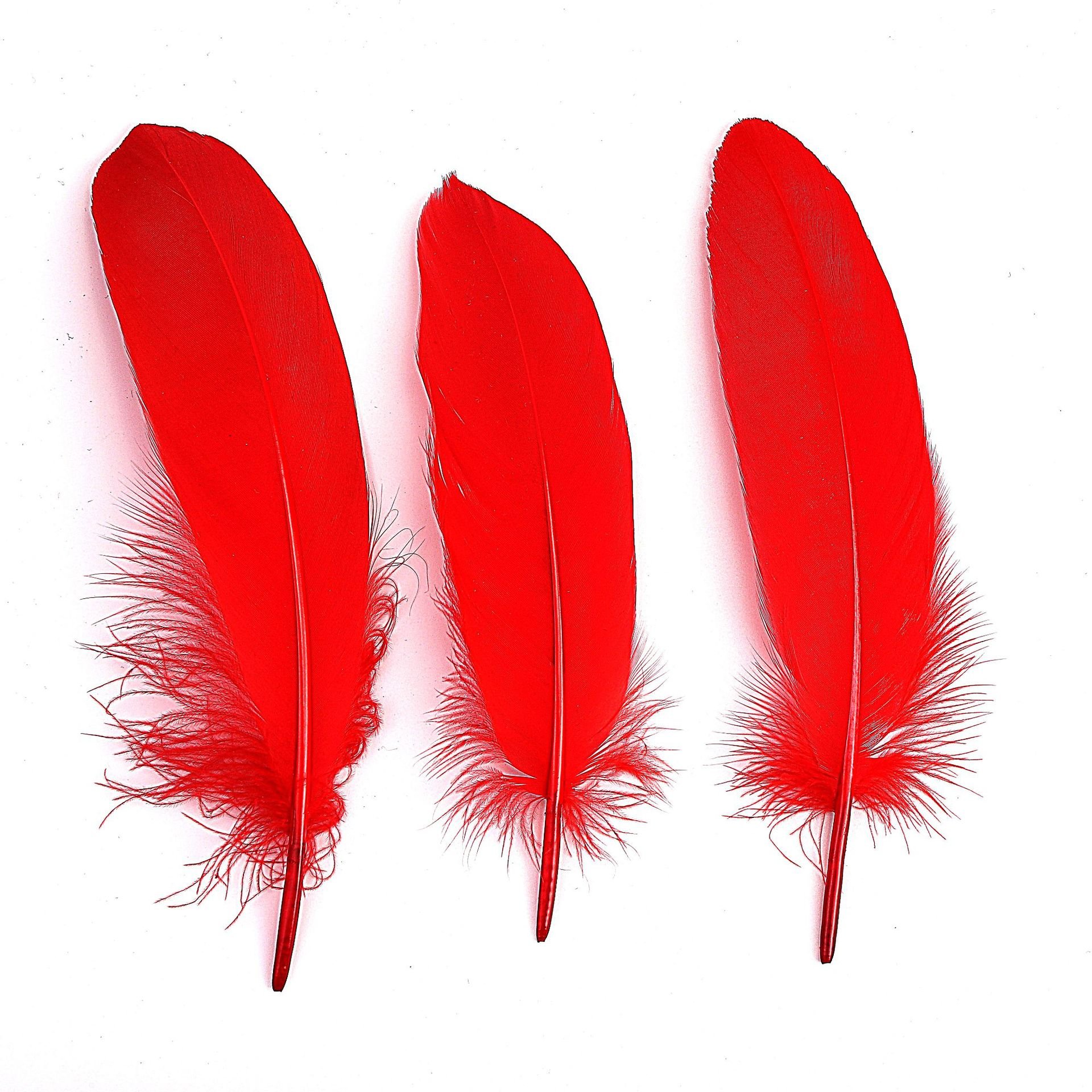 15-20cm 10pcs dyed goose feathers for decoration, cosplay, badminton and shuttlecock raw, diy crafts colorful feather