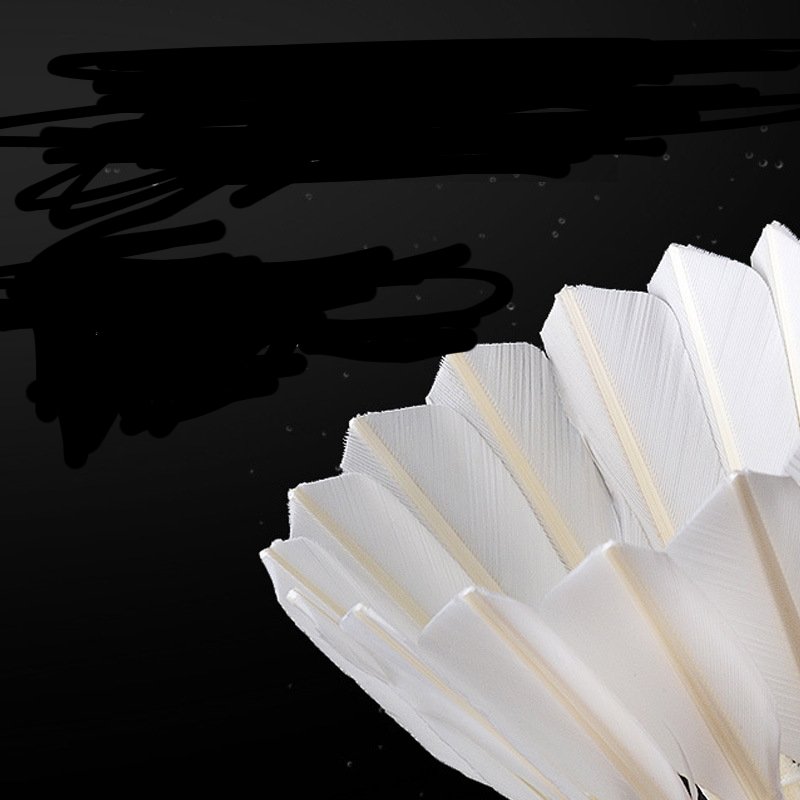 Manufacturers direct supply, badminton resistant to play duck hair training stable 6 badminton wholesale