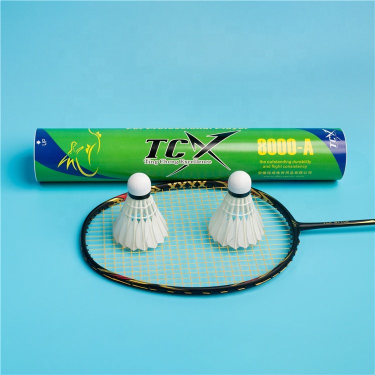 Training Badminton Students Beginners Competition Apacs Badminton