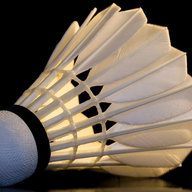 BWF approved super grade class a goose feather badminton shuttlecock lingmei 10
