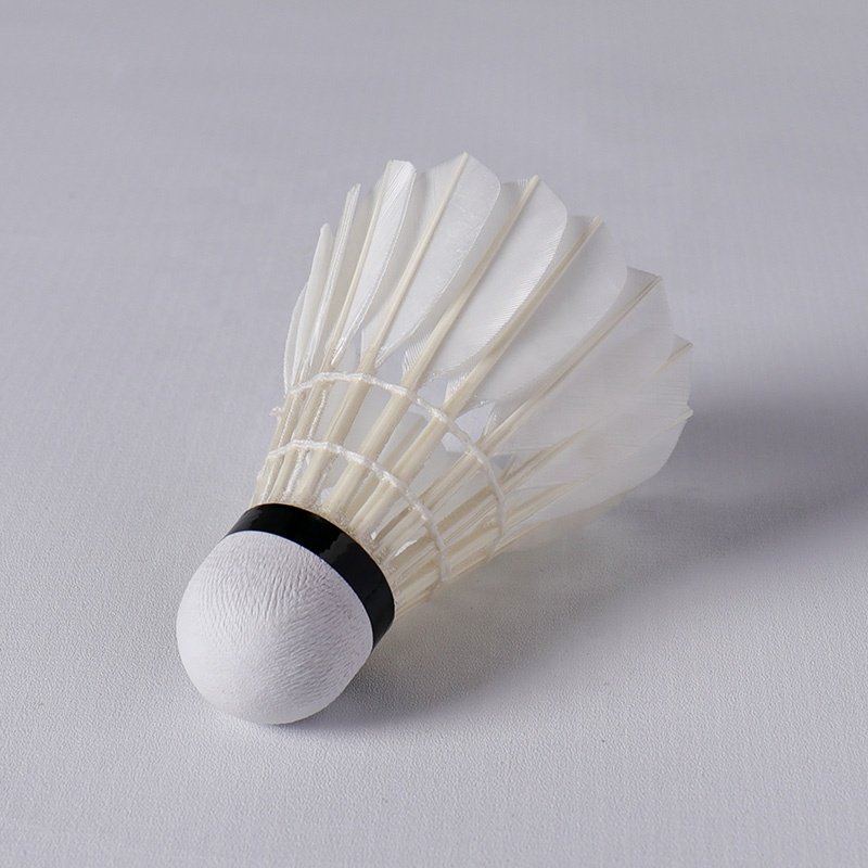 Top Quality Honkoo Goose Feather Foamed Plastic Head Areoplane Badminton Ball Production Shuttlecock For Training