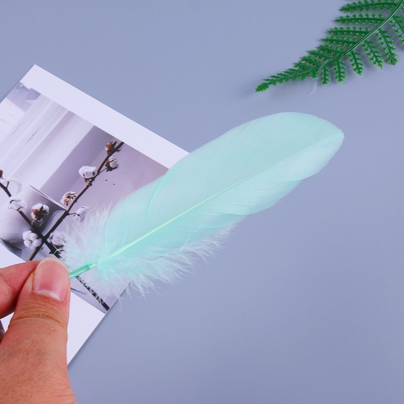 Macaron Color Small Hard Floating Feather Goose Feather Dream Catcher Cat Stick Decoration DIY Handmade Clothing Accessories