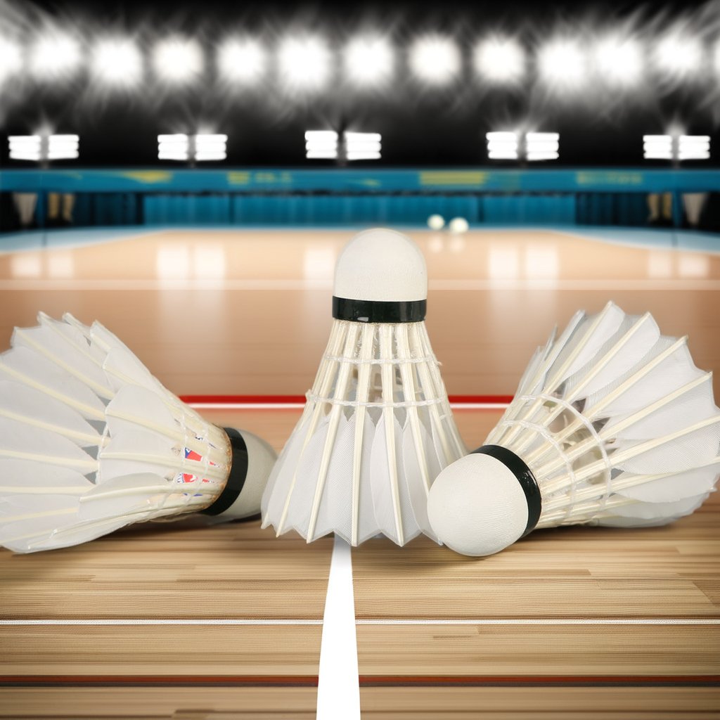 BWF Wholesale Durable Goose Feather Badminton Shuttlecocks Lingmei 10