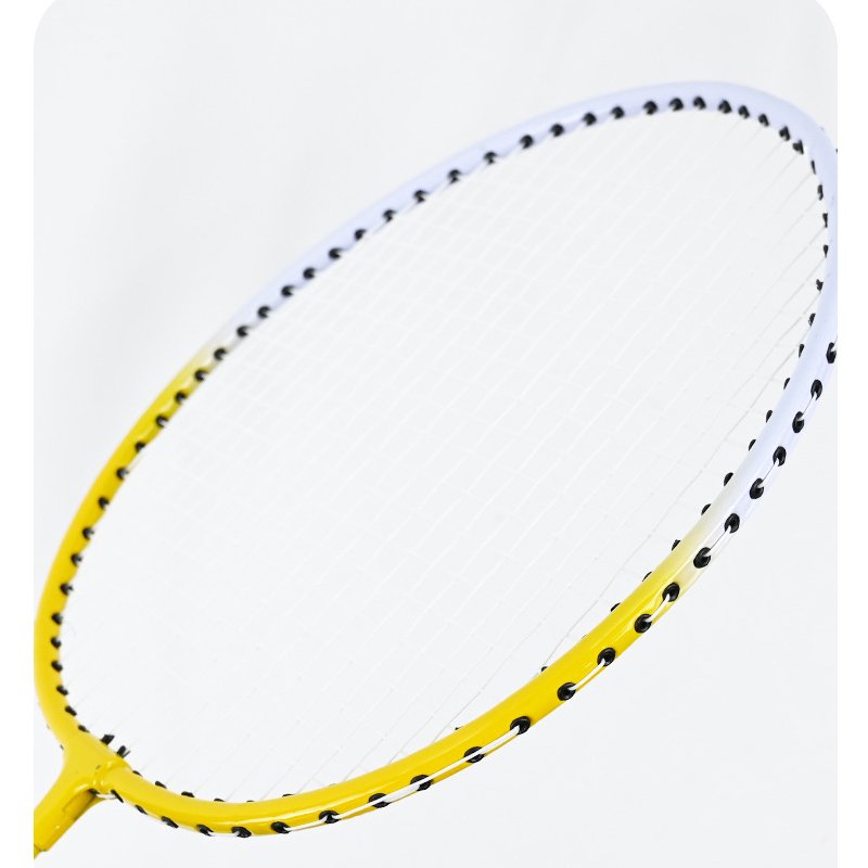 Wholesale Primary Training Nylon Shuttlecock Materials Racquet Portable Lining Badminton Racket With Set