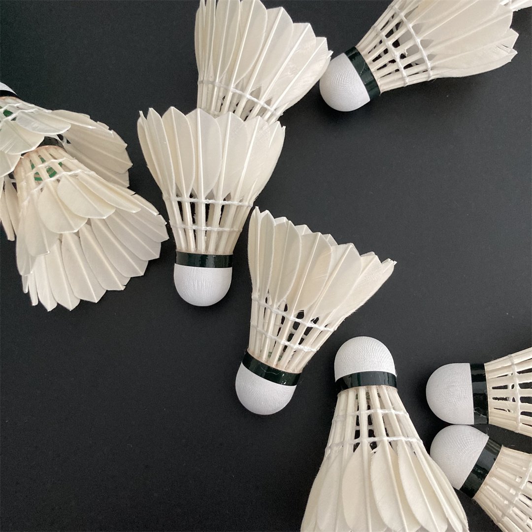 Most Durable and Stable Black to White Goose Feather Badminton Shuttlecocks