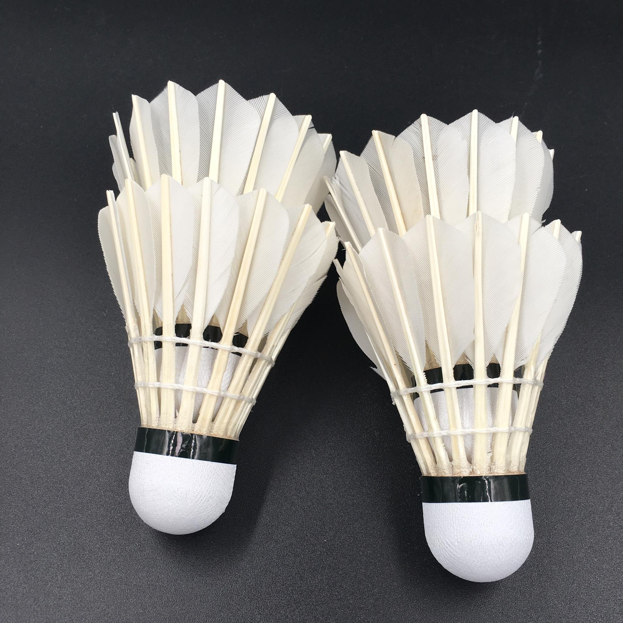 Class d high quality goose straighten curing feather badminton shuttlecock hot sale