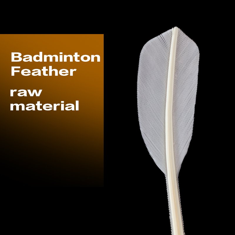 OEM Class a Badminton Shuttlecocks Super Cheap Durable Goose Feather Ball for Training-Cork Head Material