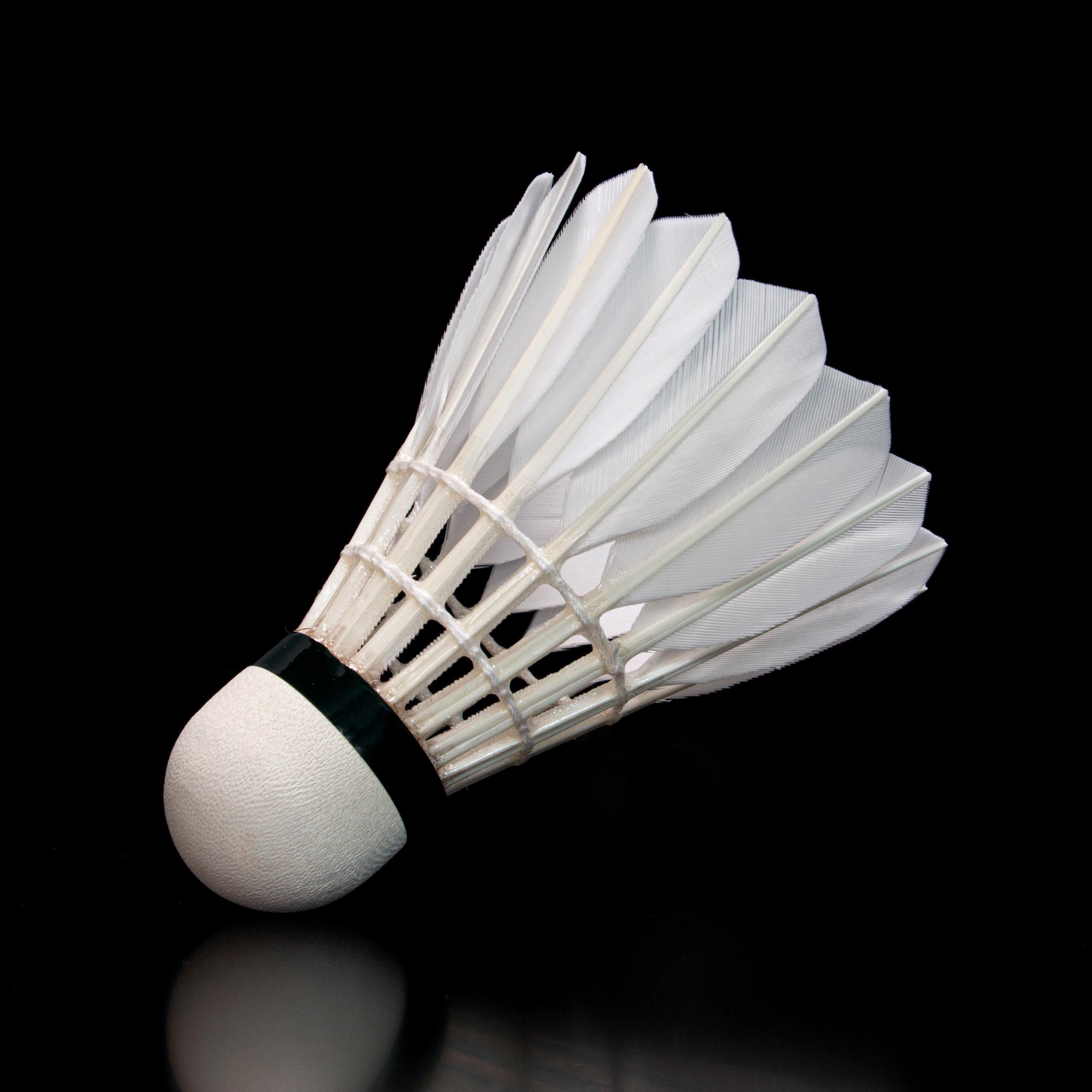 Wholesale Goose Feather Shuttlecock OEM Badminton Birdies lingmei 60