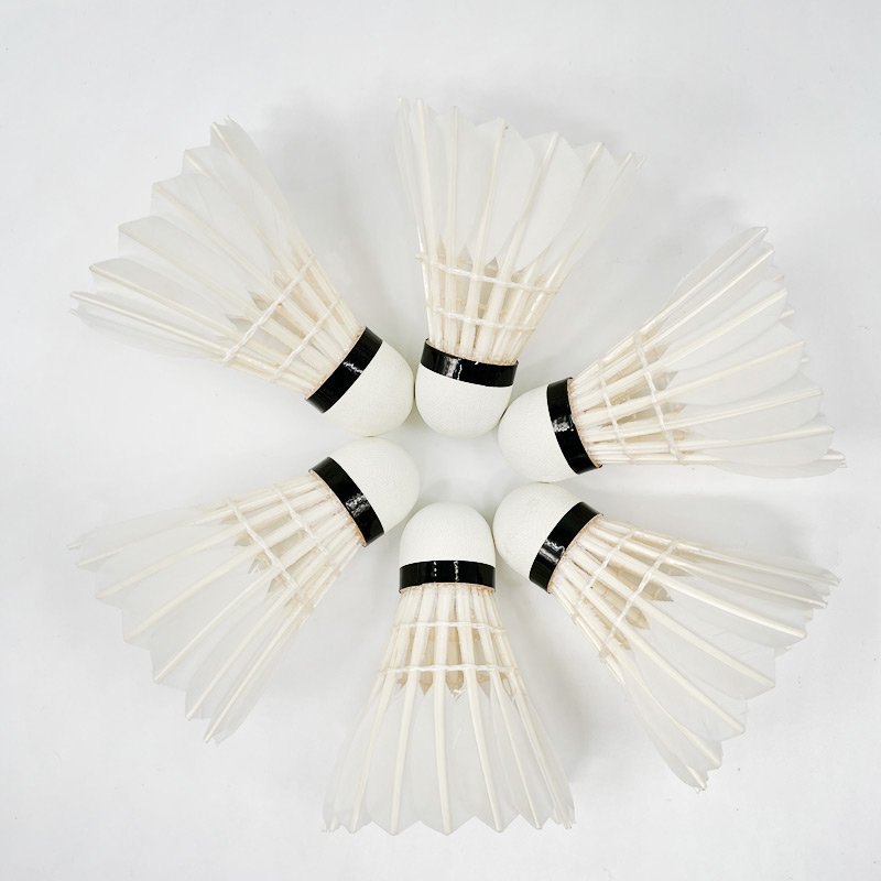 Professional competition badminton Wholesale Badminton Shuttlecock Goose Feather Birdie shuttlecocks