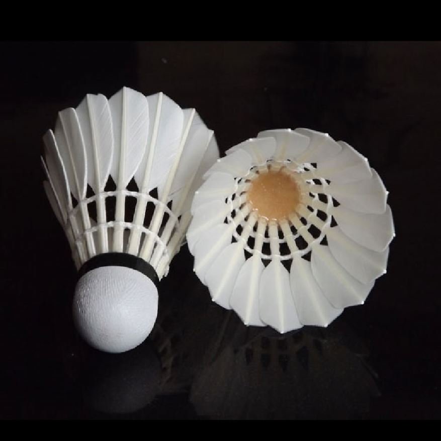 Golden Wing Oem Used Shuttlecock As 2 For Training