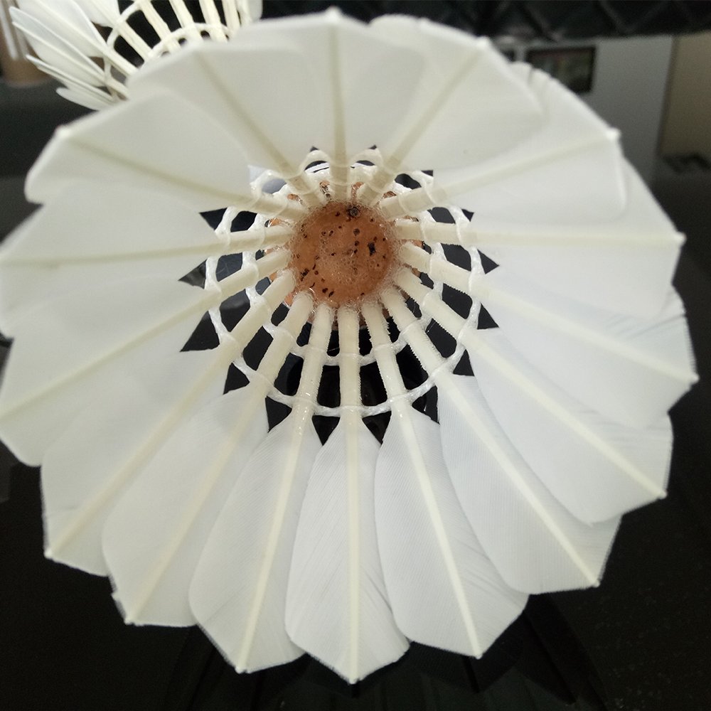 OEM Best Quality AS30 Grade A Natural Goose Feather Badminton Tournament Shuttlecock
