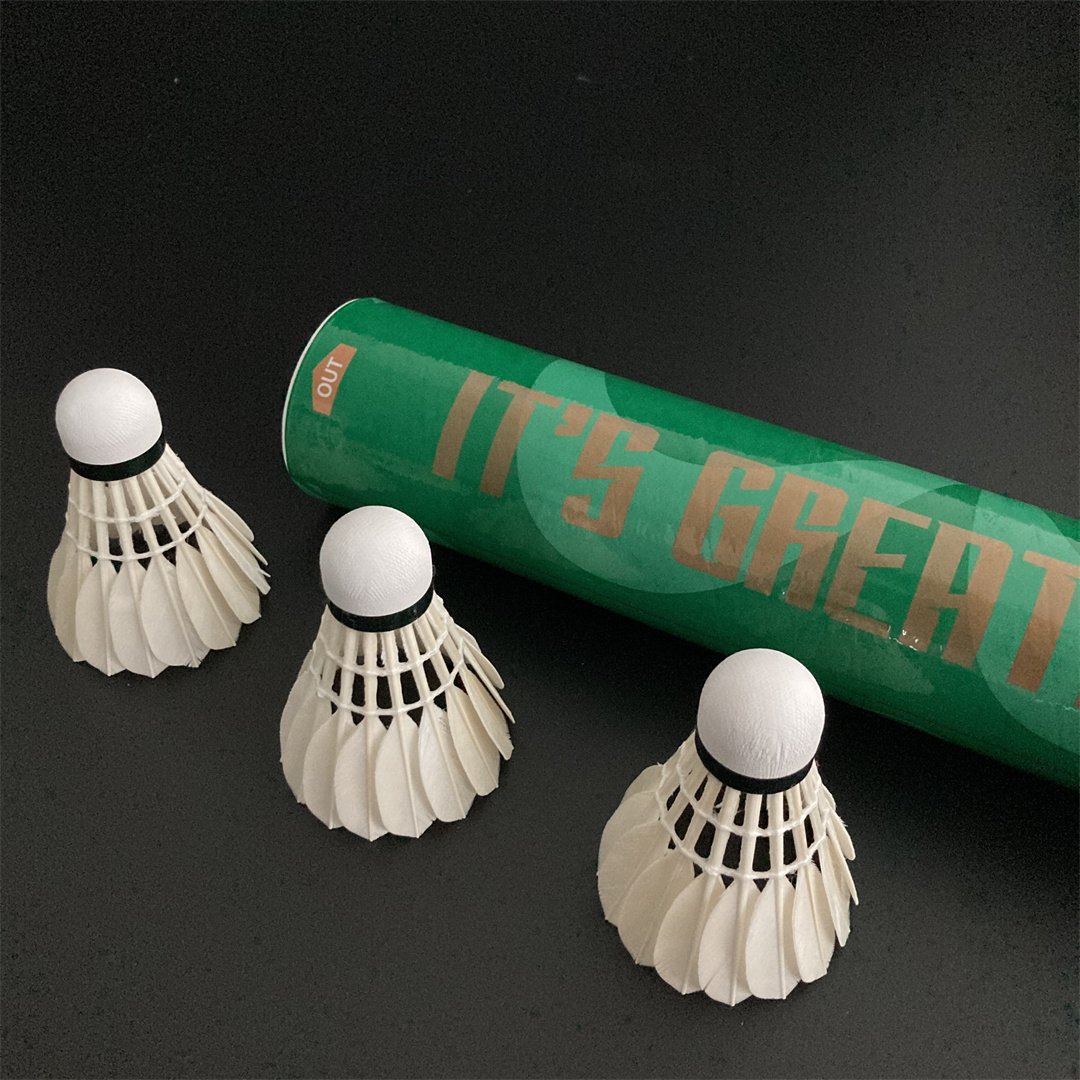 Best Price Top Grade Badminton Shuttlecocks for Competition G4 Aeroplane Badminton Shuttlecock
