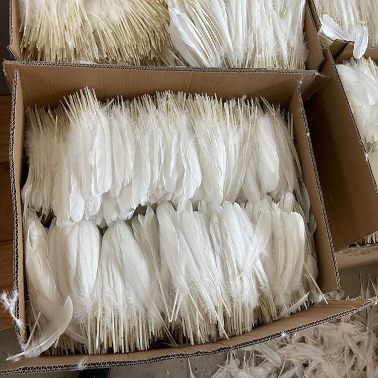 Manufacturer's direct sales select for shuttlecock and badminton washed high quality duck feather
