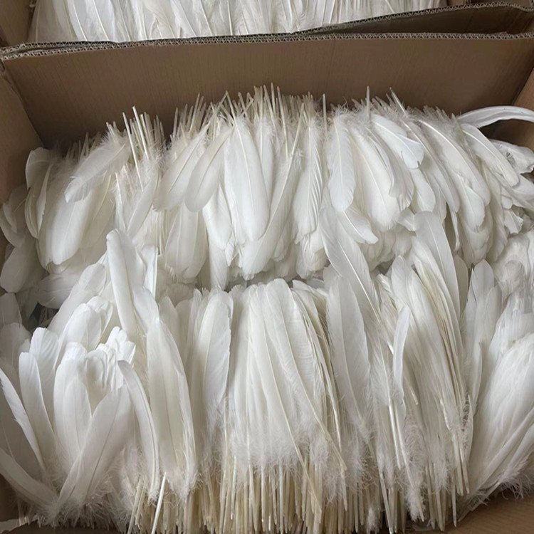 Manufacturer's direct sales select for shuttlecock and badminton washed high quality duck feather