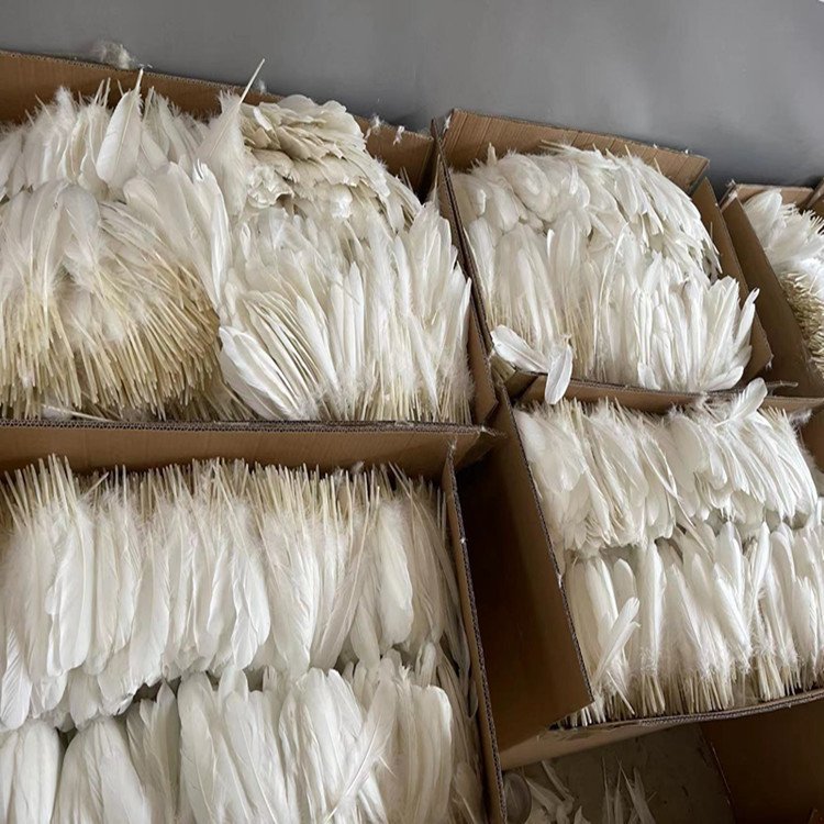 Manufacturer's direct sales select for shuttlecock and badminton washed high quality duck feather