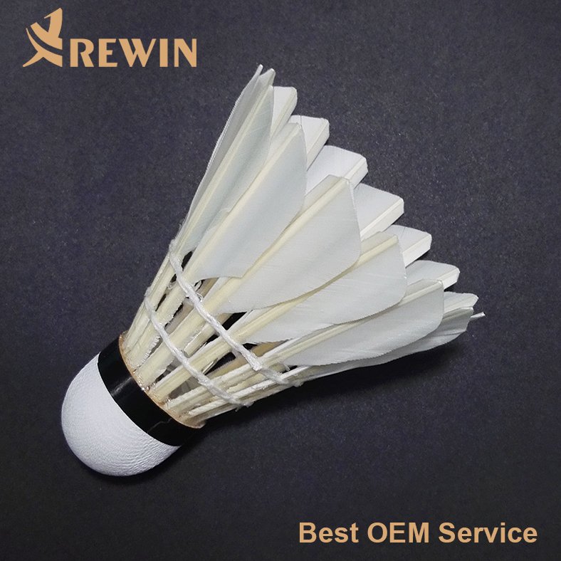 NEW Bright rainbow flashing led badminton shuttlecock for night