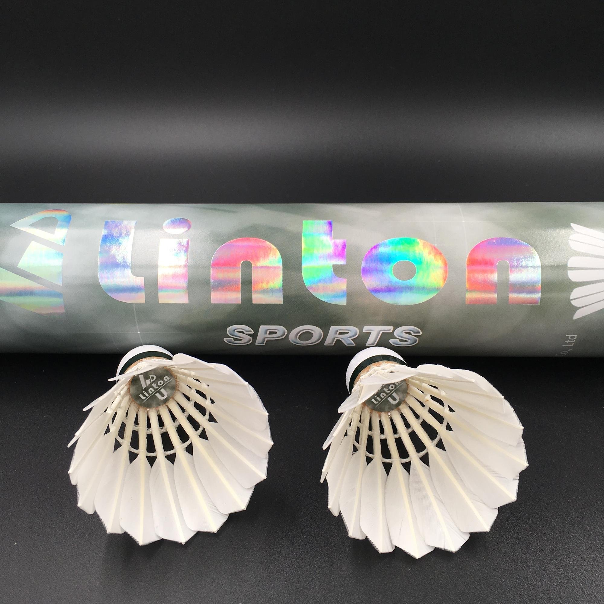 Hot sale club training use accurate drop point goose feather shuttlecock quality same as RCL