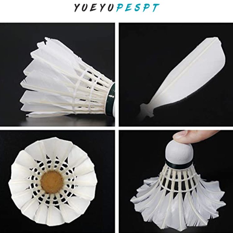 Professional authentic badminton suit super durable 12 goose feather indoor and outdoor wind proof training ball