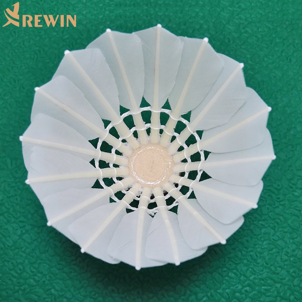 Training No.3 High Quality Goose Feather Shuttlecock for Club Training
