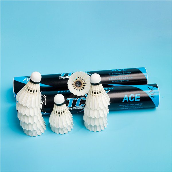 BWF Standard TCX ACE consistency goose feather tournament badminton shuttlecocks